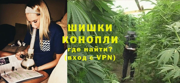 амф Арсеньев