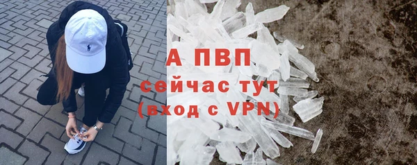 амф Арсеньев