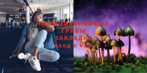 амф Арсеньев